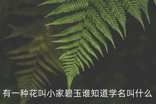 有一种花叫小家碧玉谁知道学名叫什么