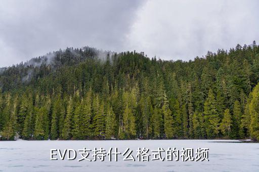 EVD支持什么格式的视频