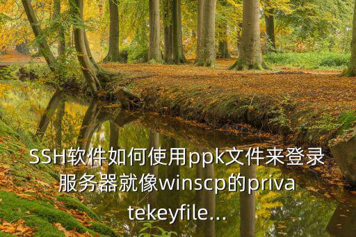 SSH软件如何使用ppk文件来登录服务器就像winscp的privatekeyfile...