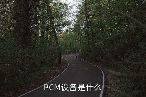 PCM设备是什么