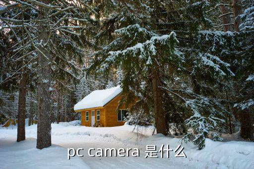 pc camera 是什么