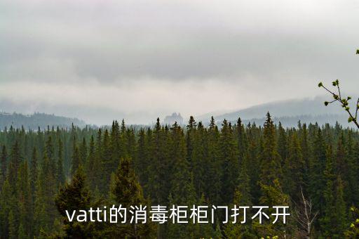 vatti的消毒柜柜门打不开