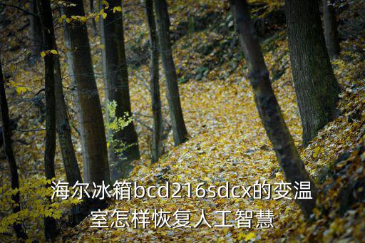 海尔冰箱bcd216sdcx的变温室怎样恢复人工智慧