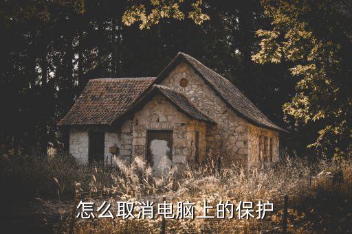 怎么取消电脑上的保护