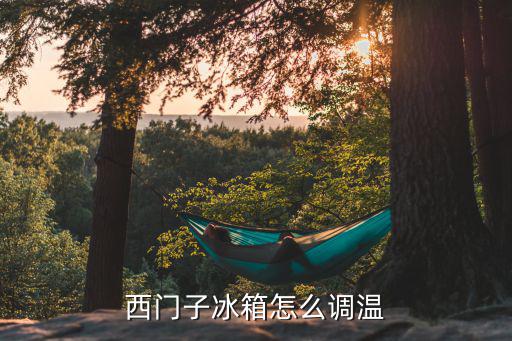 西门子冰箱怎么调温