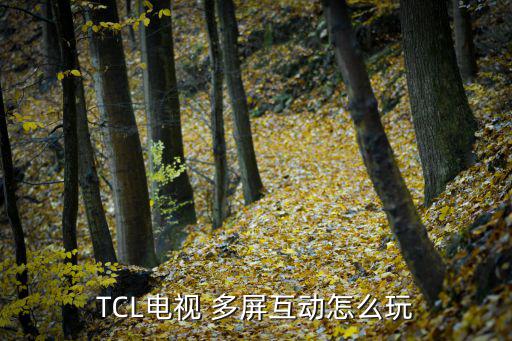 TCL电视 多屏互动怎么玩