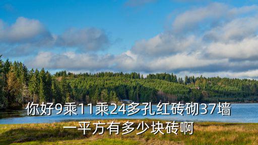 你好9乘11乘24多孔红砖砌37墙一平方有多少块砖啊