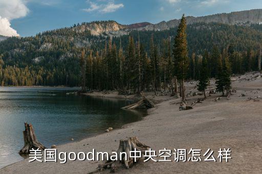 美国goodman中央空调怎么样