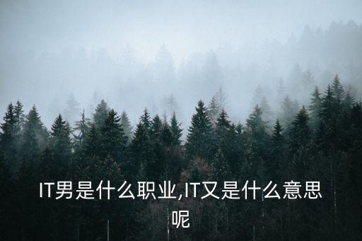 IT男是什么职业,IT又是什么意思呢