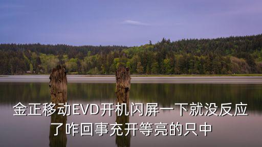 Evd光头调节器在哪儿啊高手指点