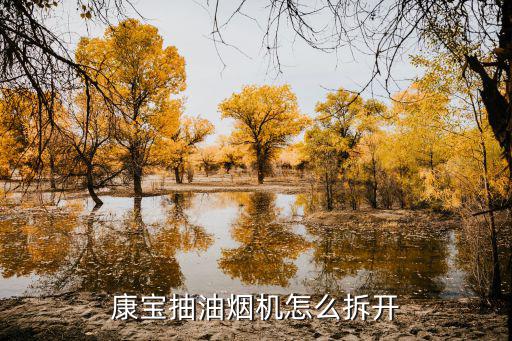 康宝抽油烟机怎么拆开