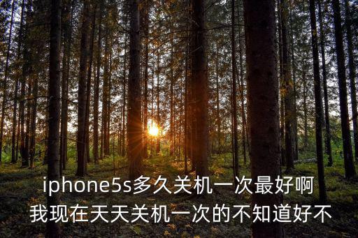 iphone5s多久关机一次最好啊 我现在天天关机一次的不知道好不