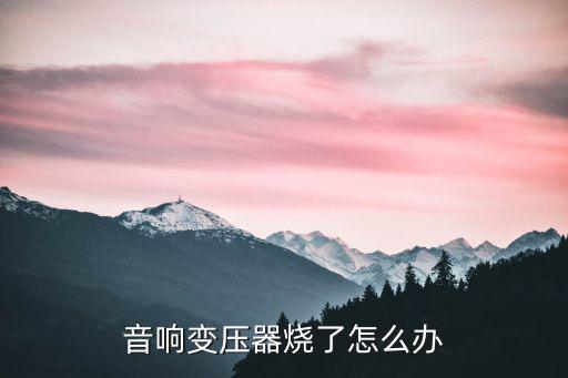 音响变压器烧了怎么办