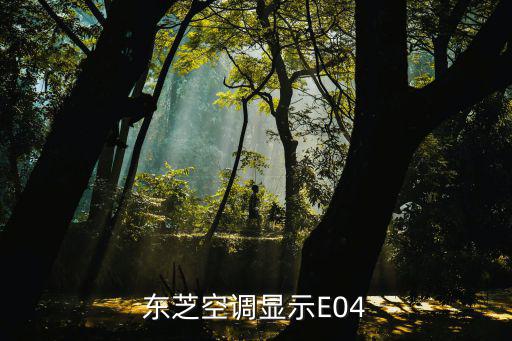 东芝空调显示E04