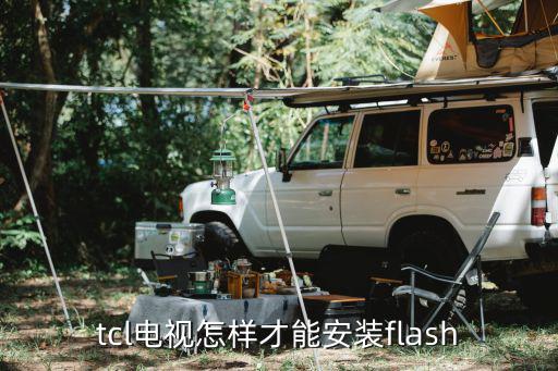 tcl电视怎样才能安装flash