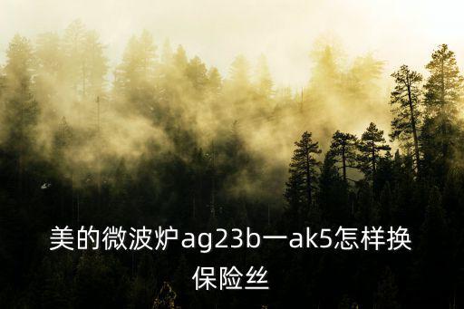 美的微波炉ag23b一ak5怎样换保险丝