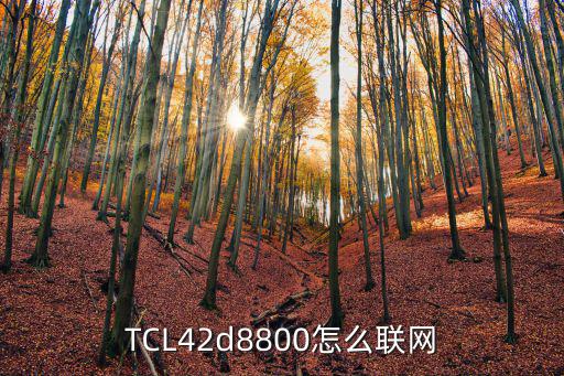 TCL42d8800怎么联网