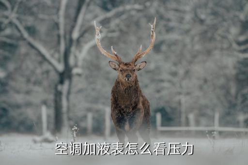 空调加液表怎么看压力