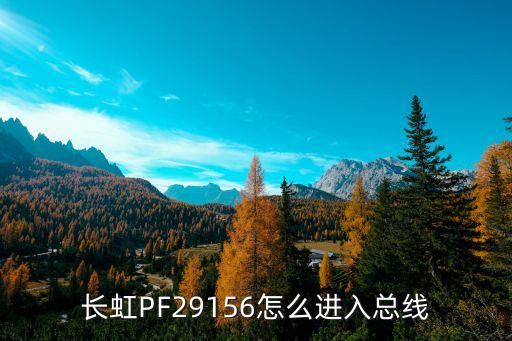 长虹PF29156怎么进入总线