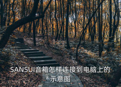 SANSUI音箱怎样连接到电脑上的示意图